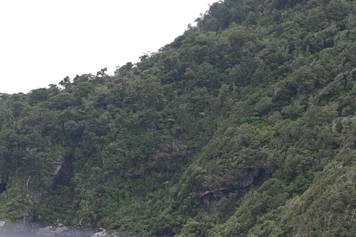 Milford Sound, Neuseeland - Photo 30