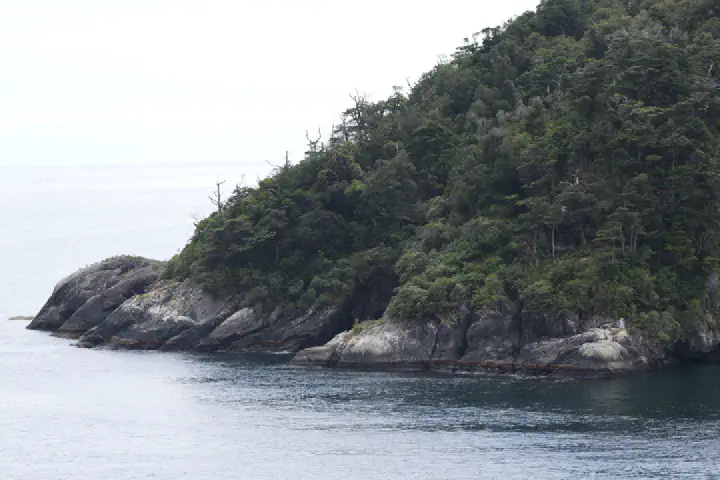 Milford Sound, Neuseeland - Photo 31