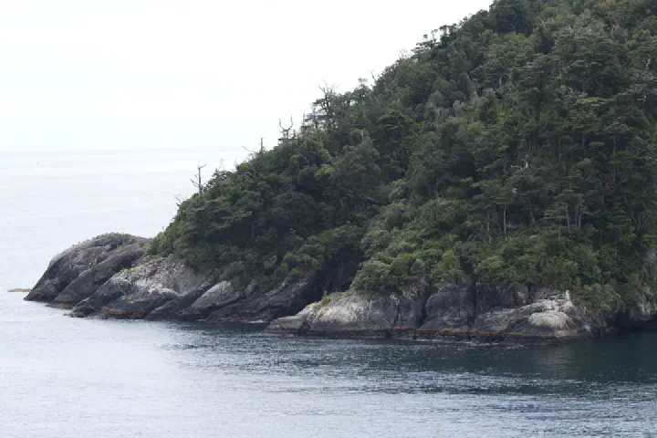 Milford Sound, Neuseeland - Photo 31