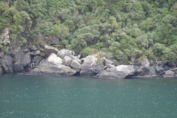 Milford Sound, Neuseeland - Photo 32