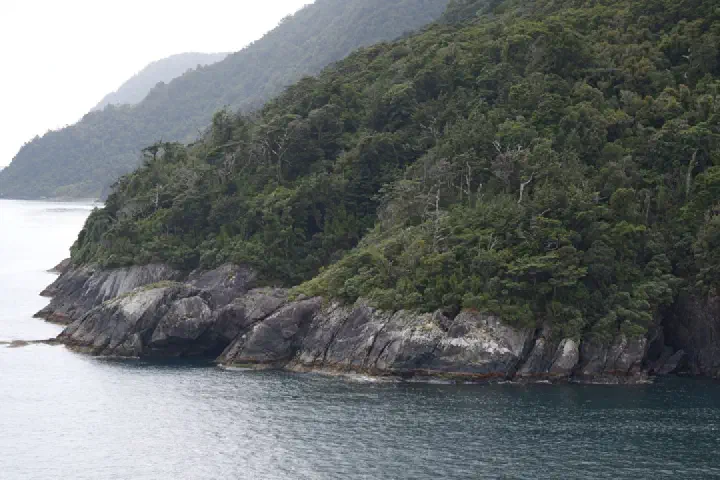 Milford Sound, Neuseeland - Photo 34