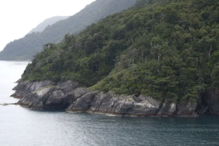 Milford Sound, Neuseeland - Photo 34
