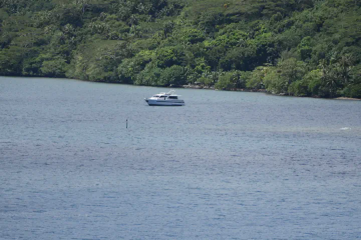 Moorea, Französisch-Polynesien - Photo 5