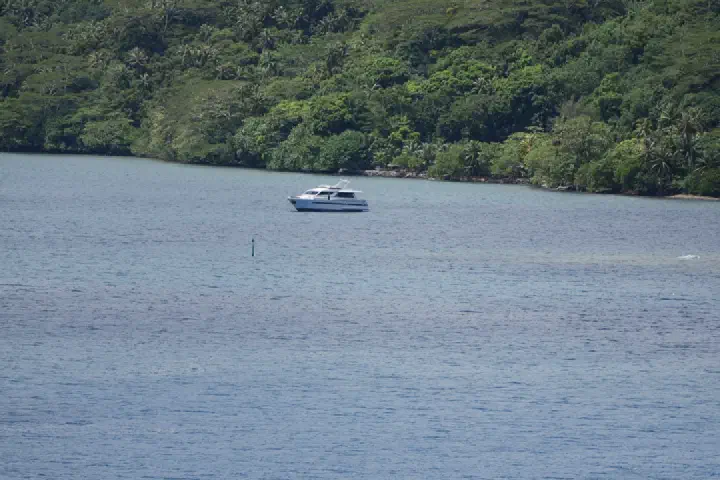 Moorea, Französisch-Polynesien - Photo 5