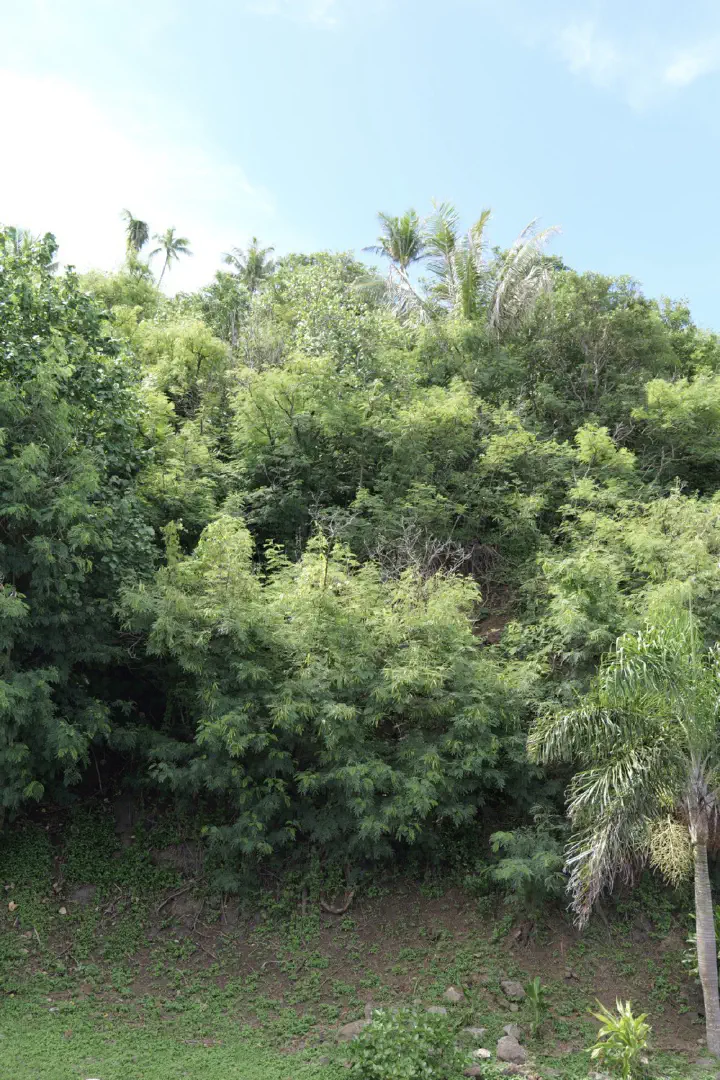 Moorea, Französisch-Polynesien - Photo 16