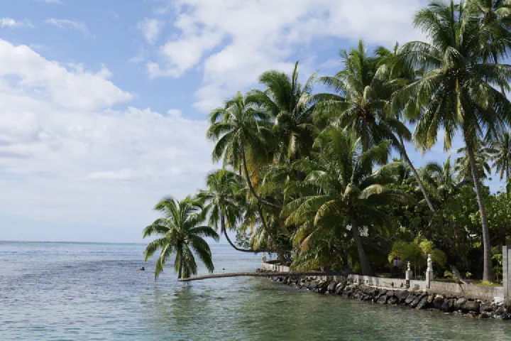 Moorea, Französisch-Polynesien - Photo 22