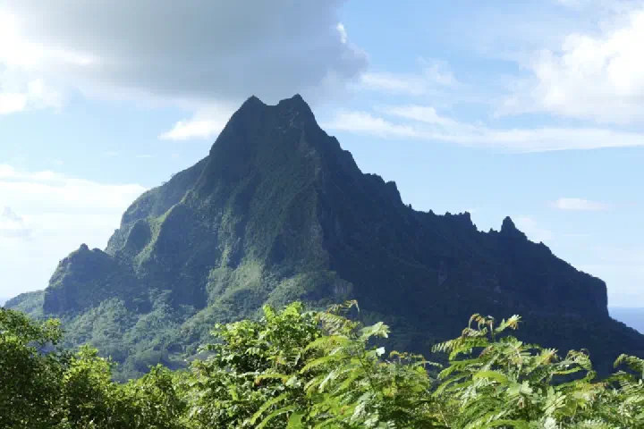 Moorea, Französisch-Polynesien - Photo 25