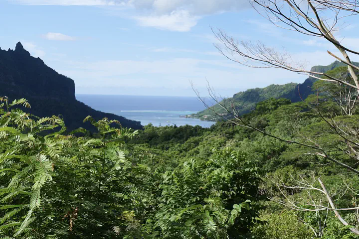 Moorea, Französisch-Polynesien - Photo 26