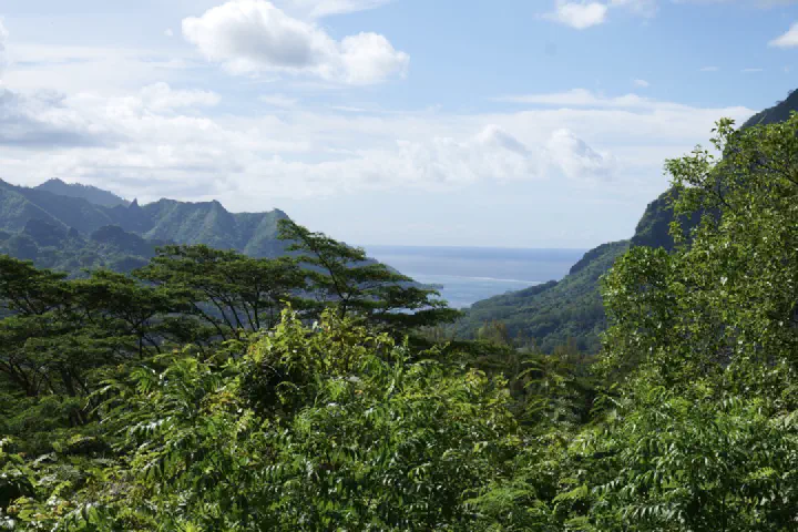 Moorea, Französisch-Polynesien - Photo 27