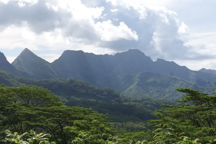 Moorea, Französisch-Polynesien - Photo 28