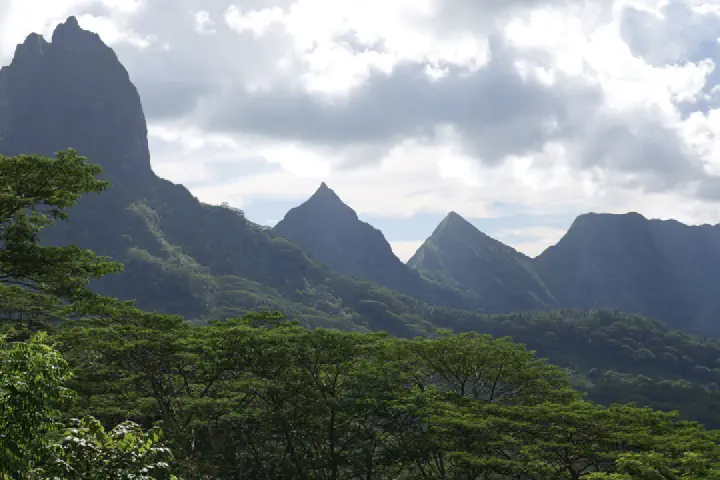Moorea, Französisch-Polynesien - Photo 29