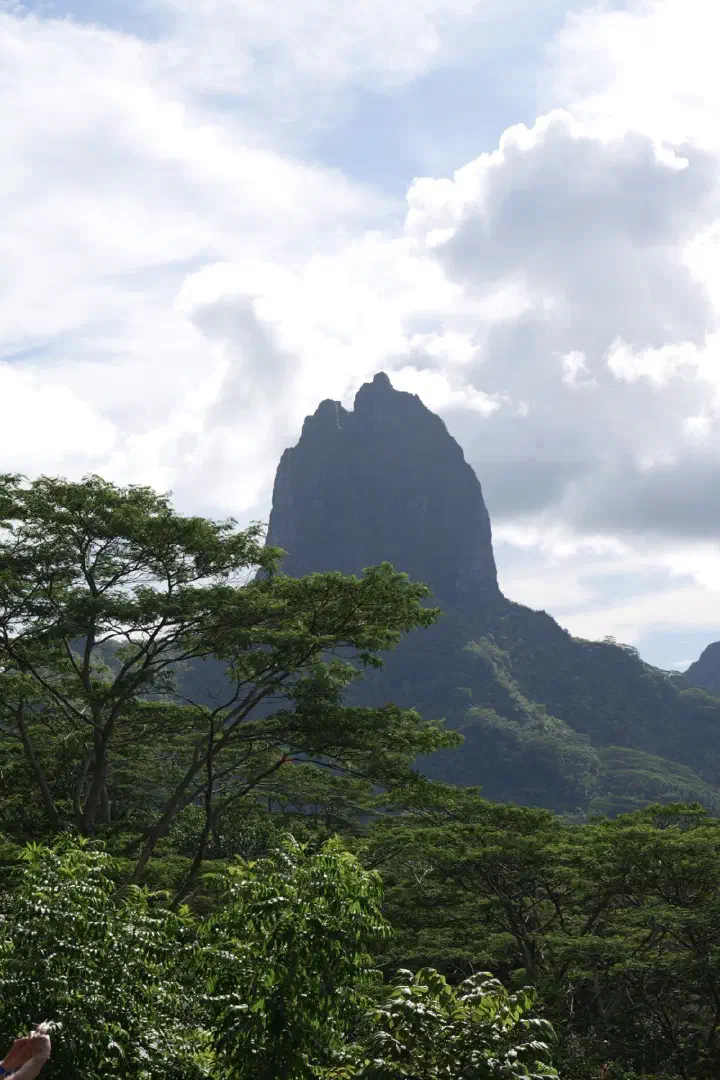 Moorea, Französisch-Polynesien - Photo 30