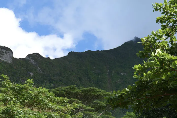 Moorea, Französisch-Polynesien - Photo 31