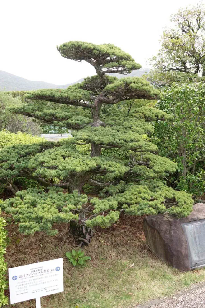 Nagasaki, Japan - Photo 22