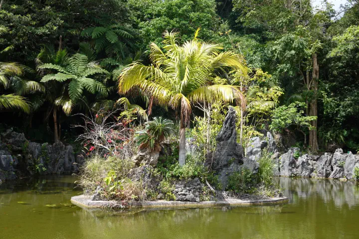 Naha, Japan - Photo 21