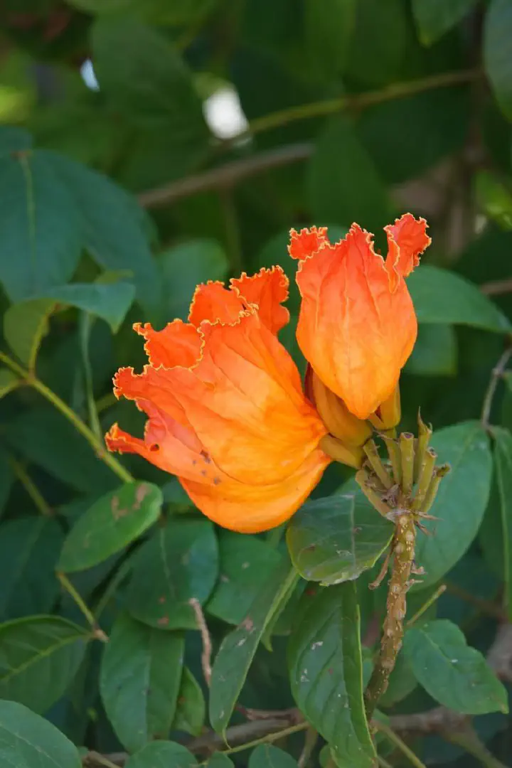 Nha Trang, Vietnam - Photo 4