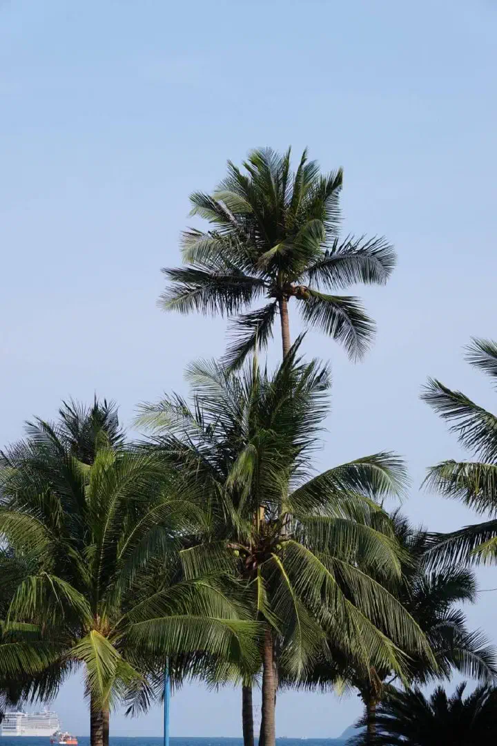 Nha Trang, Vietnam - Photo 18