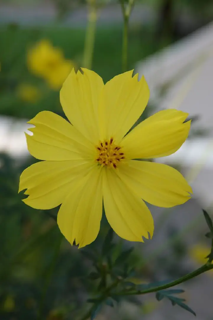 Nha Trang, Vietnam - Photo 24