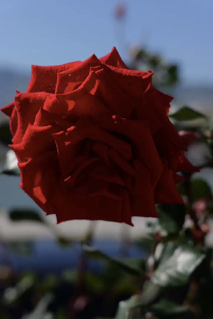 Palermo, Italien - Photo 2