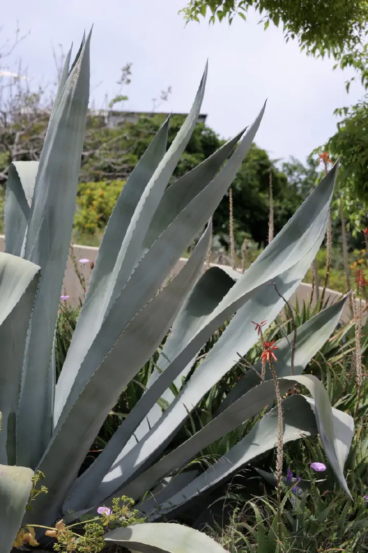 Palermo, Italien - Photo 10