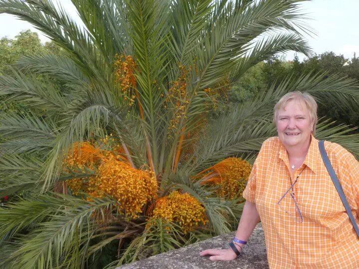 Palma, Spanien - Photo 3