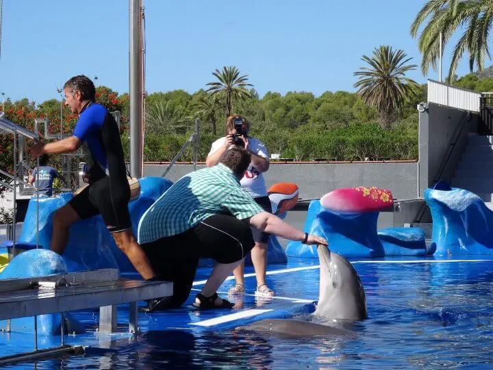 Palma, Spanien - Photo 2