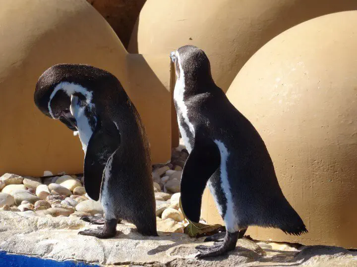 Palma, Spanien - Photo 3