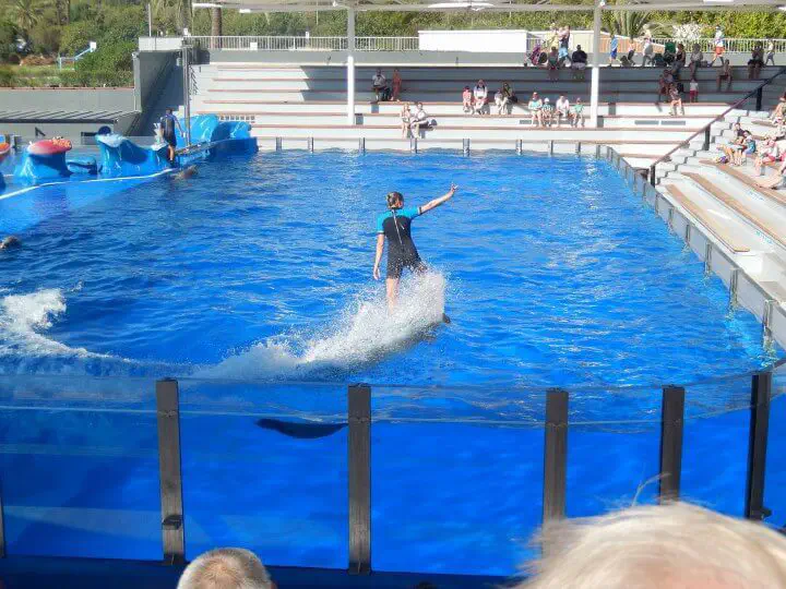 Palma, Spanien - Photo 8