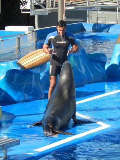 Palma, Spanien - Photo 11