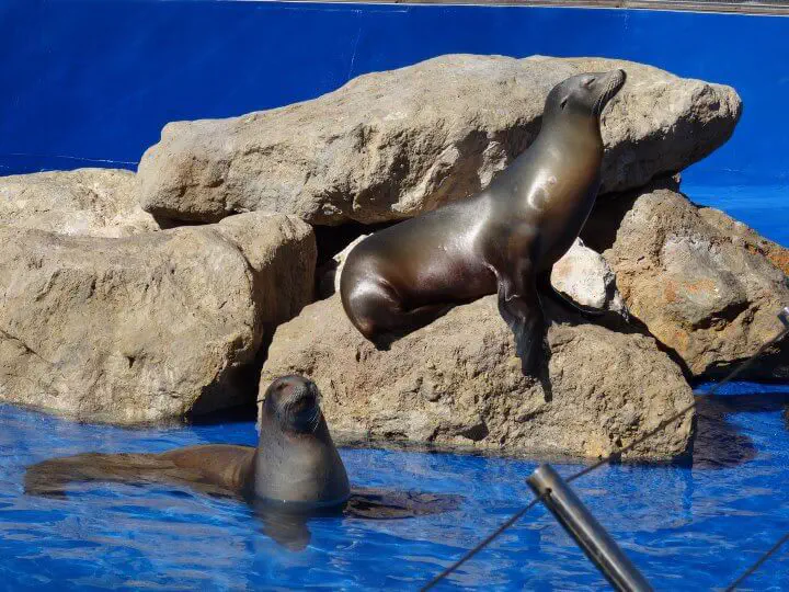 Palma, Spanien - Photo 12