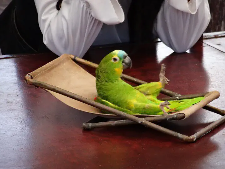 Palma, Spanien - Photo 14