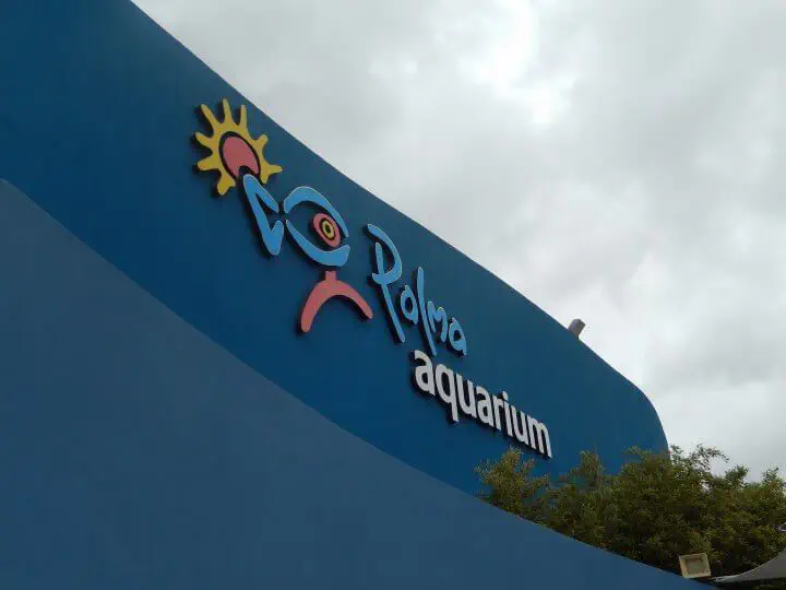 Palma, Spanien - Photo 2