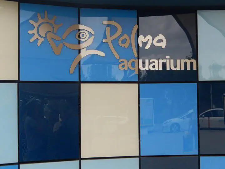 Palma, Spanien - Photo 7