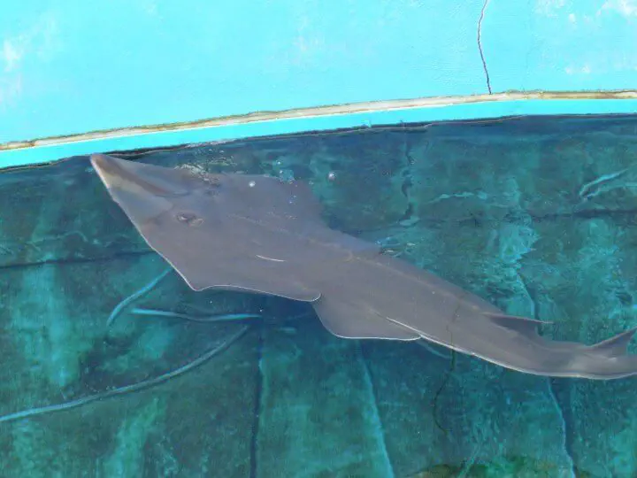 Palma, Spanien - Photo 9