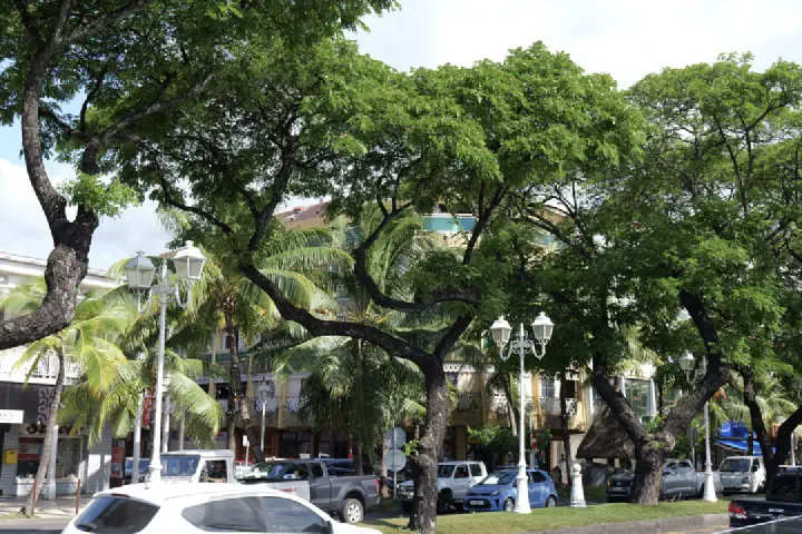 Papeete, Französisch-Polynesien - Photo 6