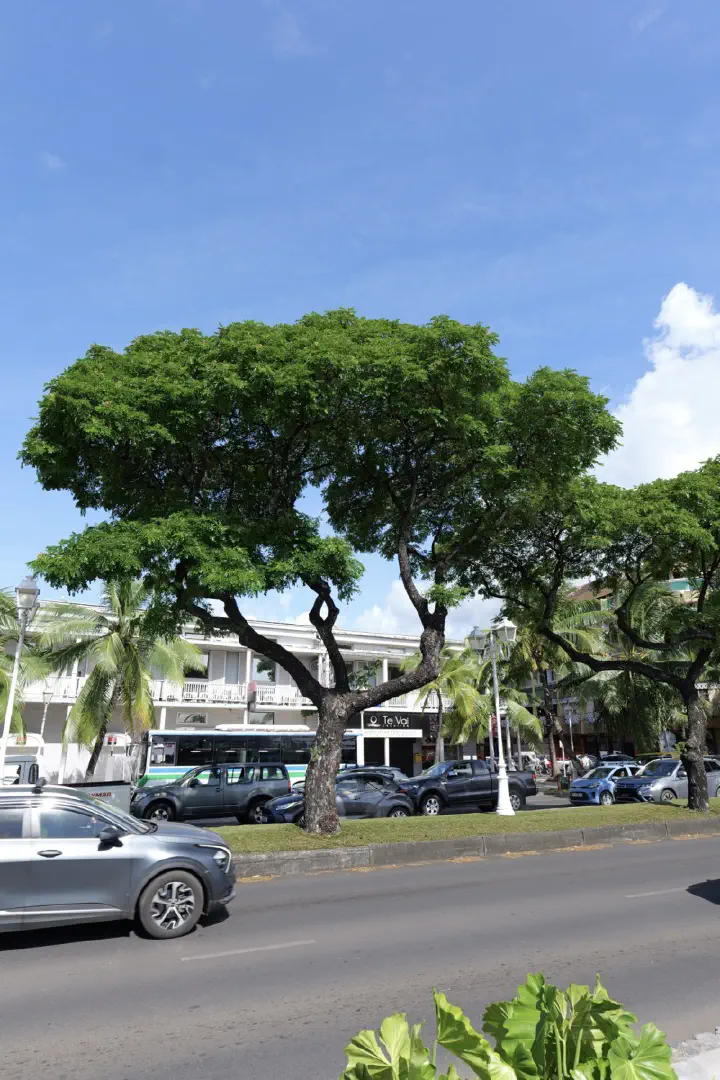 Papeete, Französisch-Polynesien - Photo 7