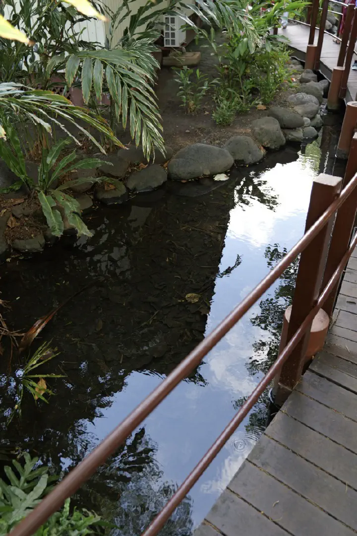 Papeete, Französisch-Polynesien - Photo 34