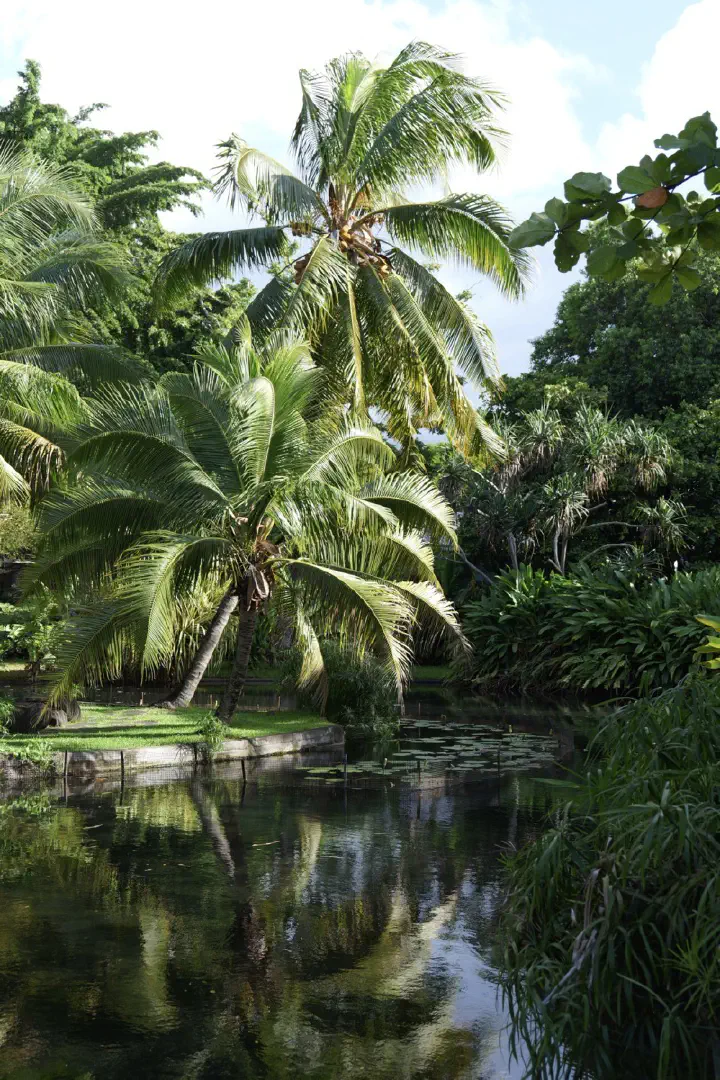 Papeete, Französisch-Polynesien - Photo 37