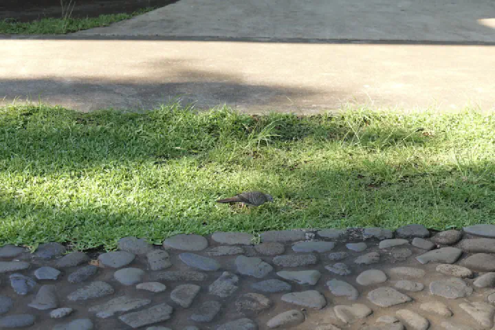 Papeete, Französisch-Polynesien - Photo 7