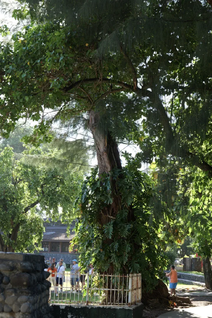 Papeete, Französisch-Polynesien - Photo 14