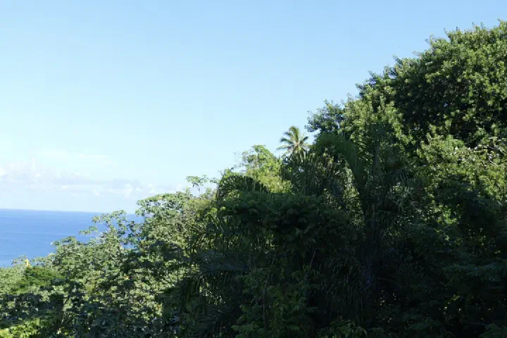 Papeete, Französisch-Polynesien - Photo 25