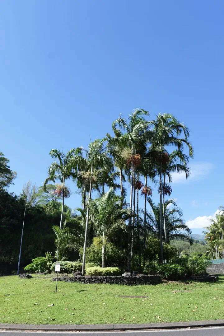 Papeete, Französisch-Polynesien - Photo 27