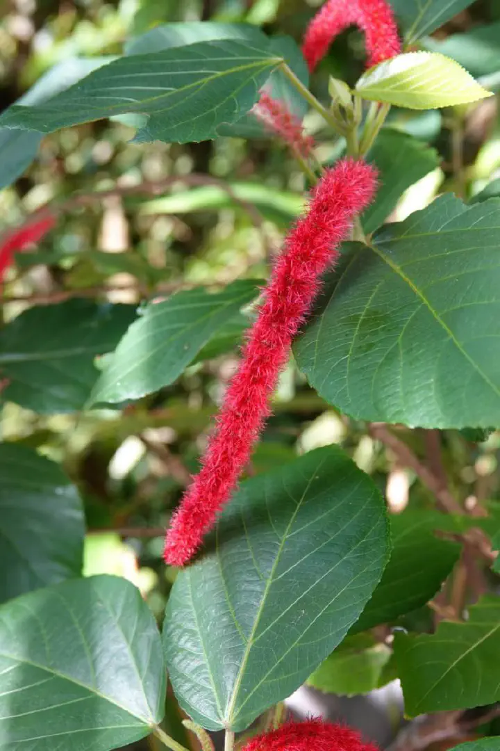 Penang, Malaysia - Photo 10