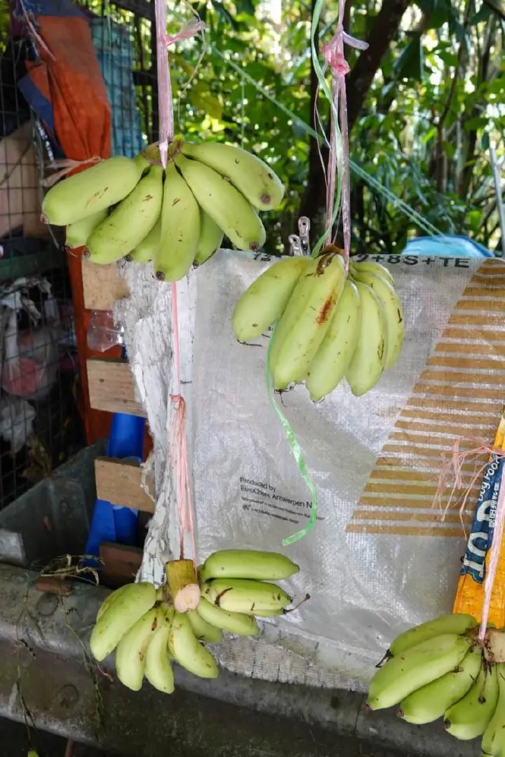 Penang, Malaysia - Photo 11