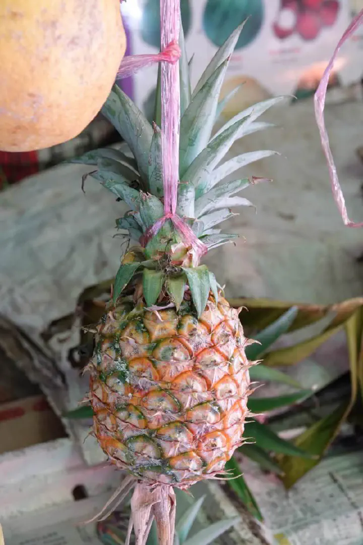 Penang, Malaysia - Photo 13