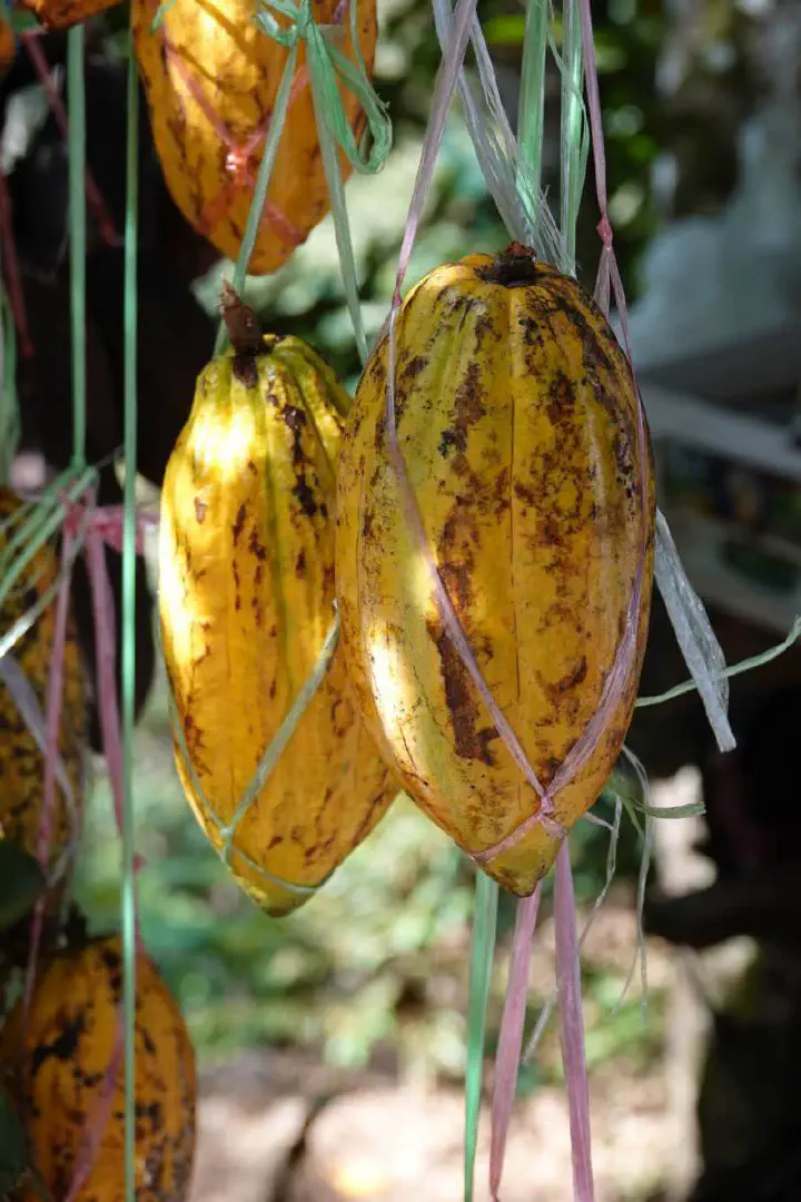 Penang, Malaysia - Photo 14
