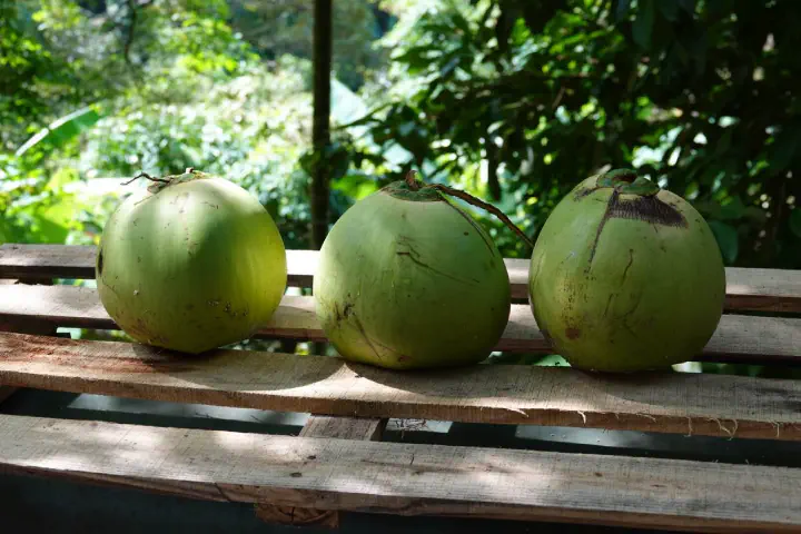 Penang, Malaysia - Photo 15