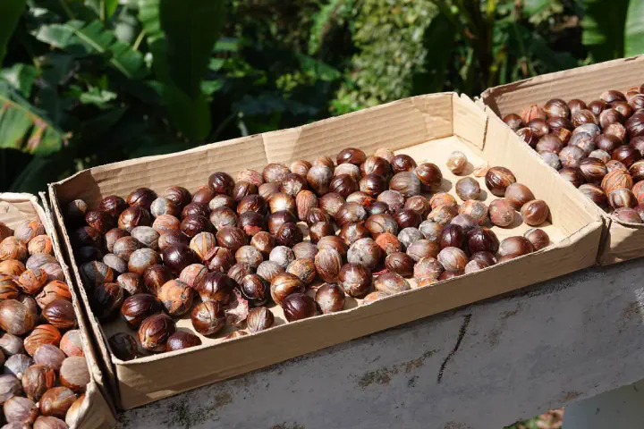 Penang, Malaysia - Photo 16