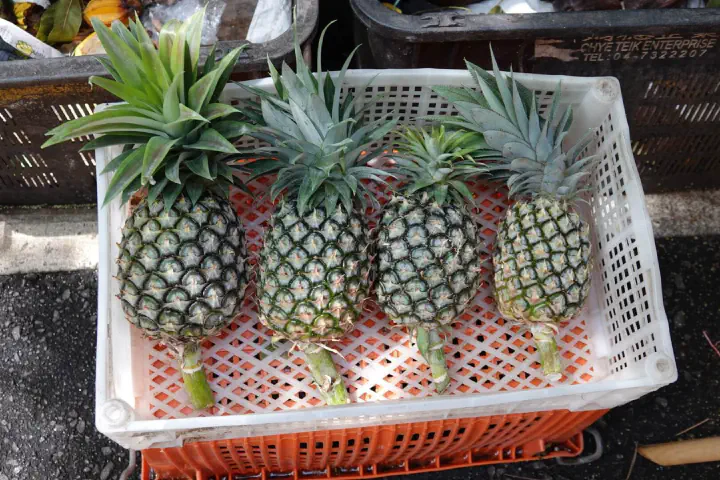 Penang, Malaysia - Photo 17