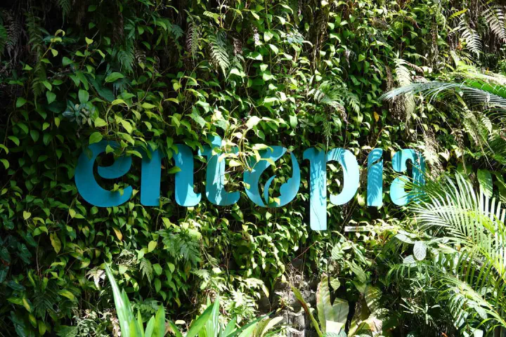 Penang, Malaysia - Photo 19